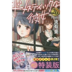 Domestic Girlfriend Vol. 20 Limited Edition w/ Scribble Book