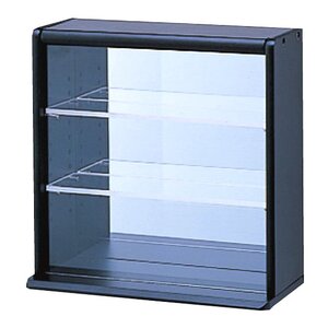 Mini Collector's Case Black