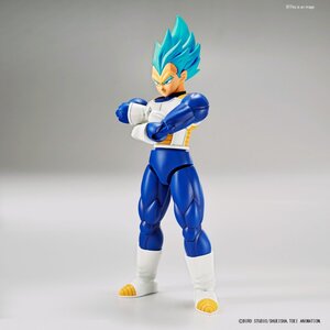Figure-rise Standard Dragon Ball Super: Super Saiyan Blue Vegeta