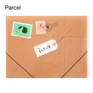 Nyanko Sensei's A4 Flat Folder Parcel