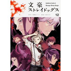 Bungo Stray Dogs Vol. 12