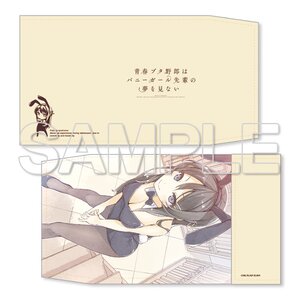 Rascal Does Not Dream of Bunny Girl Senpai Book Cover