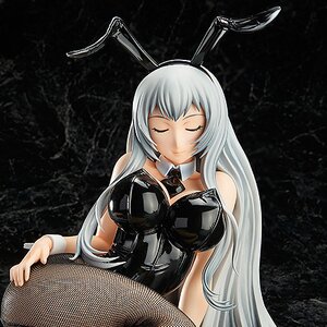 Ikki Tousen: Extravaganza Epoch Choun Shiryu: Bunny Ver.