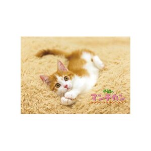 Koneko no Munchkin 2018 Calendar