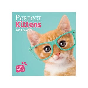 Stdudio Pets Cat 2018 Calendar