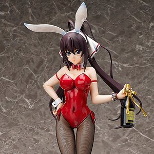 IS <Infinite Stratos> Houki Shinonono: Bunny Ver.