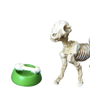 Posable Skeleton - Dog 01