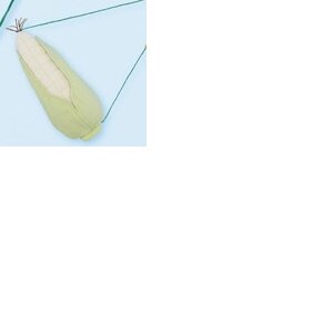 Corn Bag Silver Corn