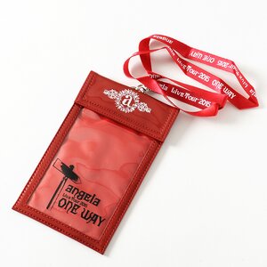 angela 2015 One Way Tour Ticket Holder