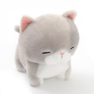 Noseteru Munchkin Cat Plush Collection (Standard) Himiko