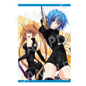 High School DxD B2 Tapestry D