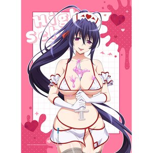 High School DxD Hero W Suede B2 Tapestry Akenoy Himejima: White Nurse Ver.
