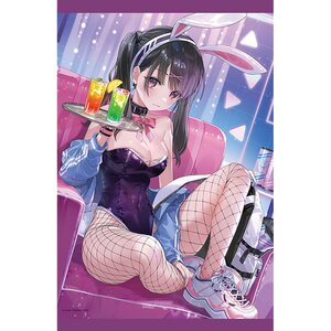 Gakaku Collection Heso x Bunny 2 25 Nima B2 Tapestry Bunny Ver.