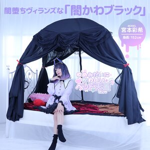 Dreamy Cute Bed Canopy Black