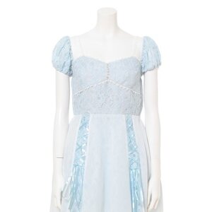 Swankiss Cinderella Dresses Sax