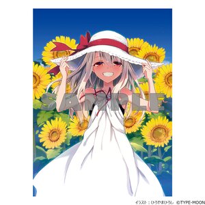 Fate/kaleid liner Prisma Illya Illya B2-Size Tapestry (Illustration by Hiroshi Hiroyama)