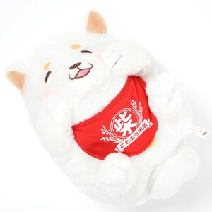 Chuken Mochi Shiba Talking Plush Collection (Big) Ume