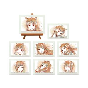 Spice and Wolf Trading Ani-Art Mini Art Frame Complete Box Set