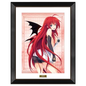 High School DxD Original Reproduction Art Print A (Re-run)