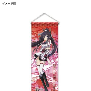 IS <Infinite Stratos> Mini Tapestries Houki Shinonono