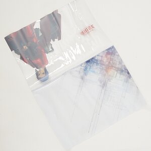 Ghost in the Shell: Arise Clear File Folder Set