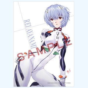 Rebuild of Evangelion Compact Puzzle Series (Rei Ayanami)