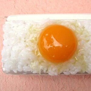 Nintendo DS Series Egg Over Rice Food Sample Case 3DS