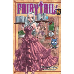 Fairy Tail Vol. 14