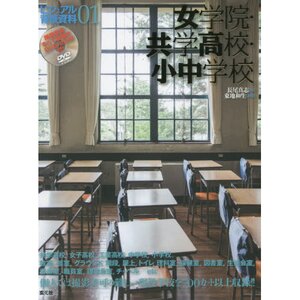 Visual Background Data 1: Girls' High School, Coed High School, Elementary & Middle School