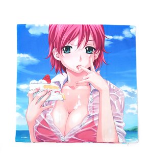 Happobijin Cushion Cover 1