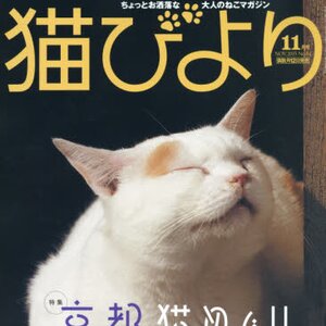 Neko Biyori November 2015