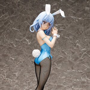 IS <Infinite Stratos> Kanzashi Sarashiki: Bunny Ver.