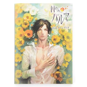 Toraware no Palm Official Fan Book