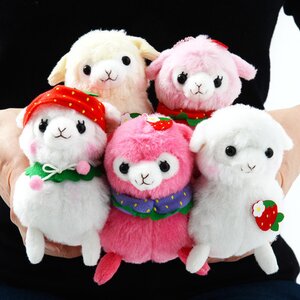 Love Berry Baby Alpacasso Plushies (Ball Chain) 5-Plushie Set