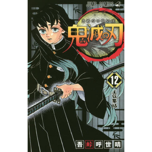 Kimetsu no Yaiba Vol. 12