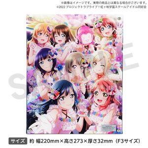 Love Live! Nijigasaki High School Idol Club Nijigasaki High School Store Layered Graph® Nijigasaki High School Idol Club First Live 'with You'