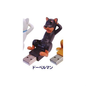 Crunching Dog USB Doberman