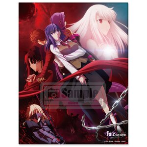 Fate/stay night: Heaven's Feel Gathering Canvas Art 