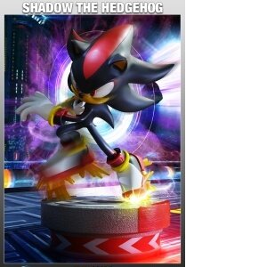 Shadow The Hedgehog