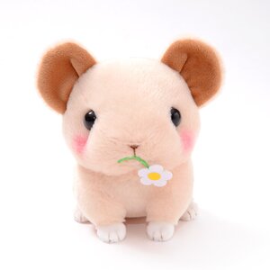 Kyun to Naki Usagi Noichigo Pika Plush Collection (Standard) Kyun Kyun