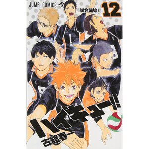 Haikyu!! Vol. 12