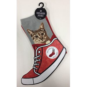 In Sneaker Socks Cat