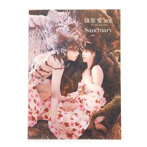 Sanctuary: Ai Shinohara Artworks