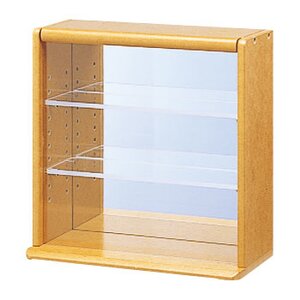 Mini Collector's Case Wood