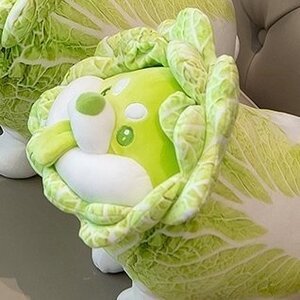 Vegetable Fairy Series Cabbage Dog 30cm Plush