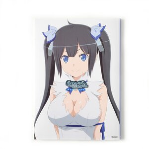 Is It Wrong to Try to Pick Up Girls in a Dungeon? Complete Book