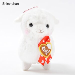 Sweet Day Kids Alpacasso Plushies (Ball Chain) Shiro-chan