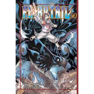 Fairy Tail Vol. 30