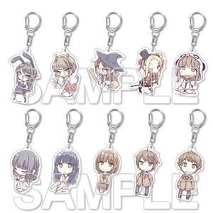 Rascal Does Not Dream of Bunny Girl Senpai Trading Acrylic Keychain Charms Box Set