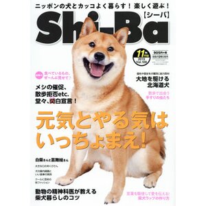 Shi-Ba November 2019